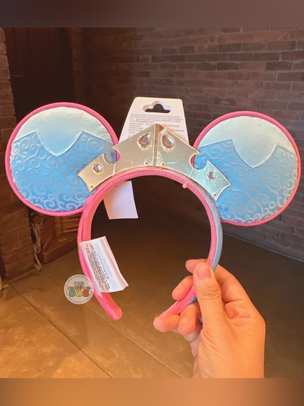 Disney Aurora Ears 👑